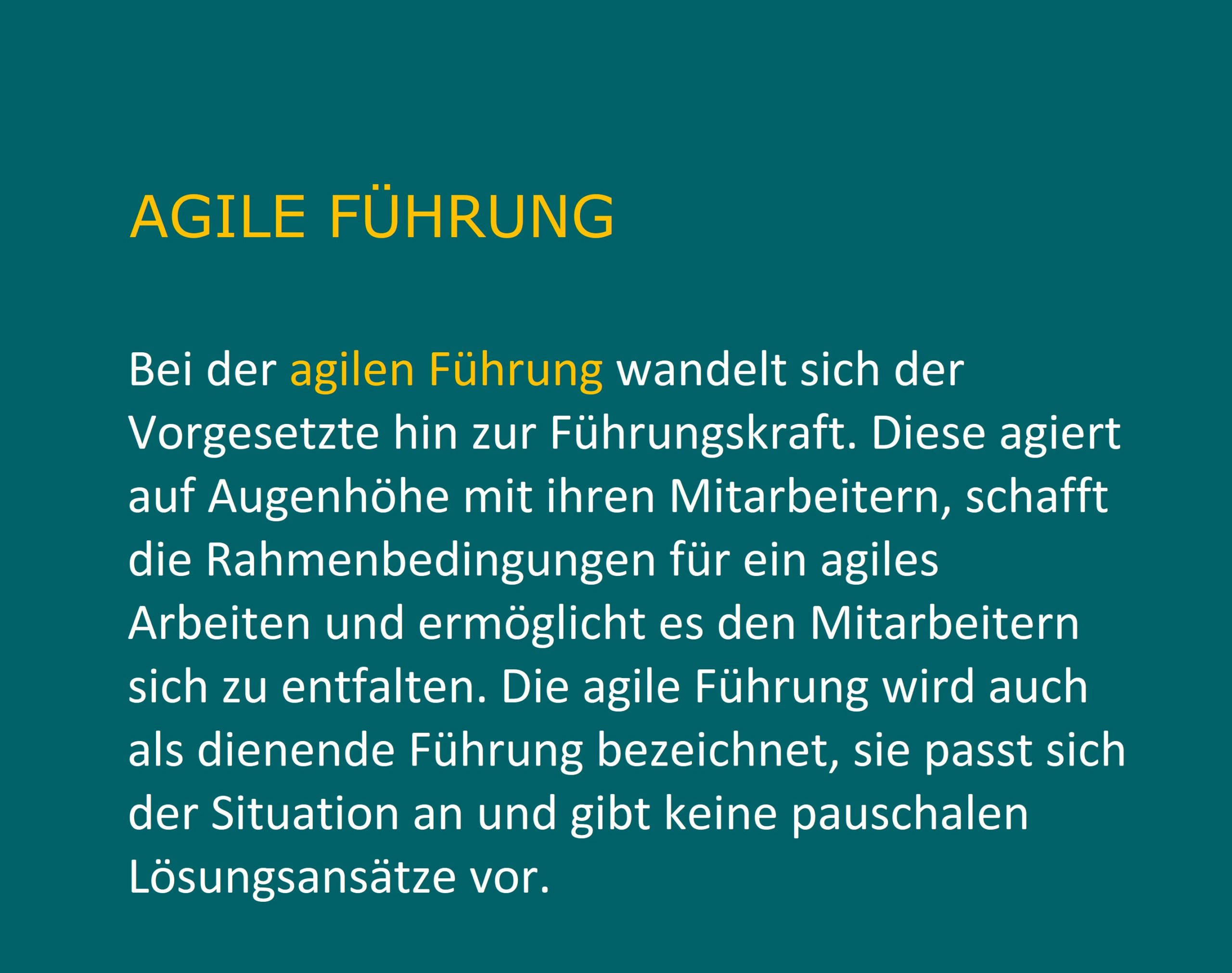 agile_fuehrung_insta
